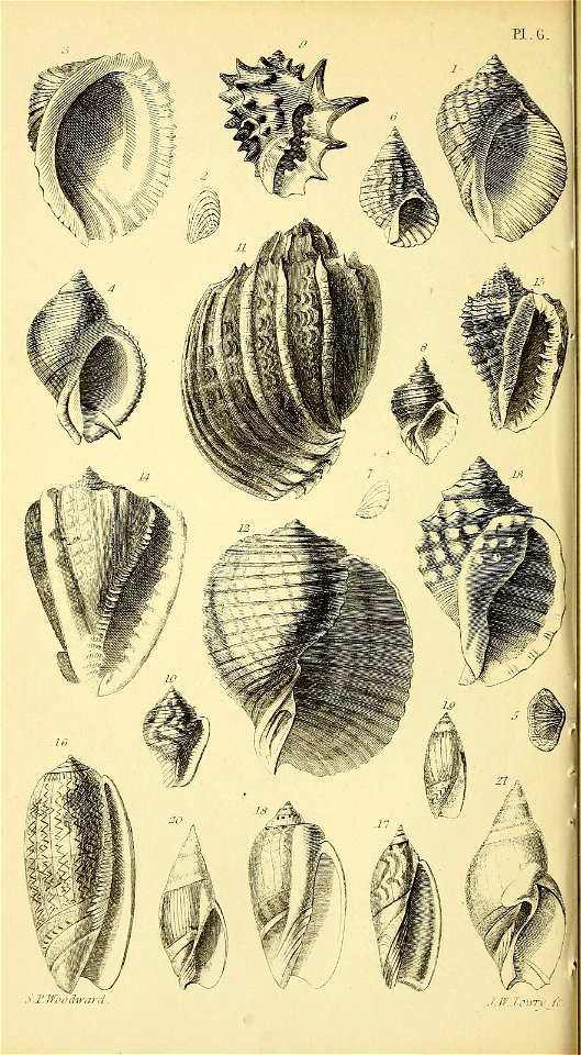 n557_w1150