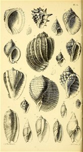 n557_w1150