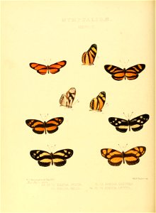n167_w1150