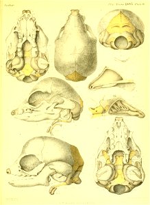 n406_w1150