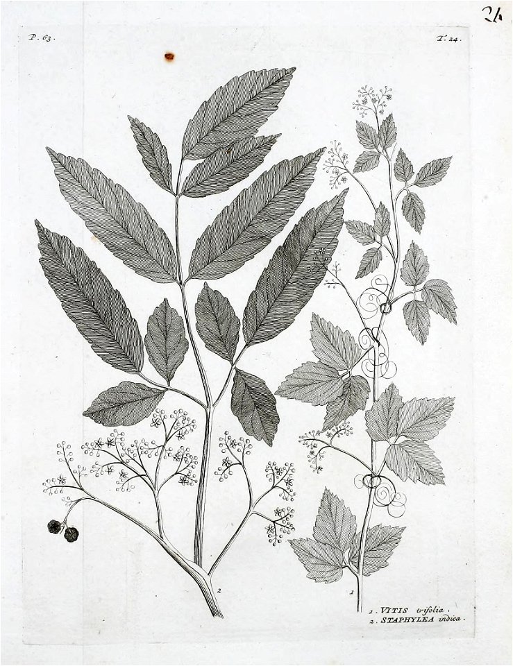 n156_w1150