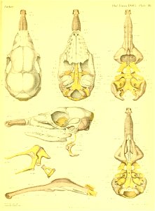 n574_w1150