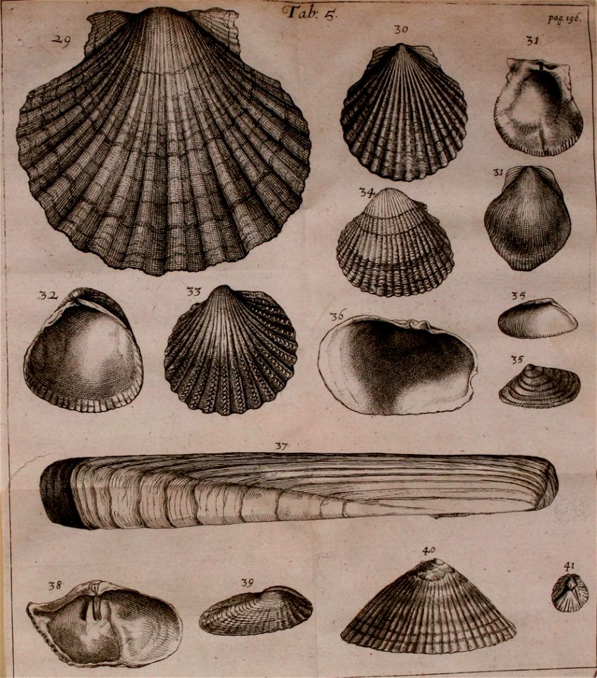 n226_w1150