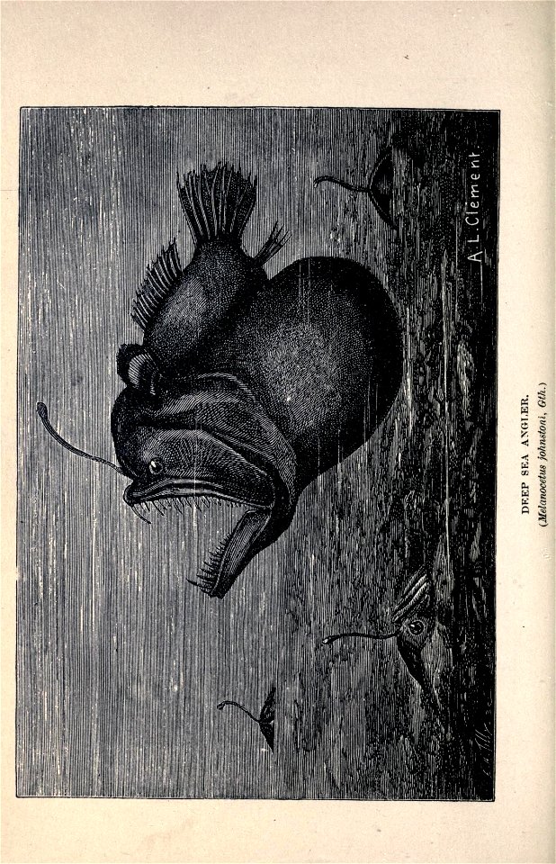 n217_w1150