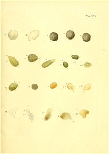 n478_w1150