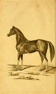 n47_w1150
