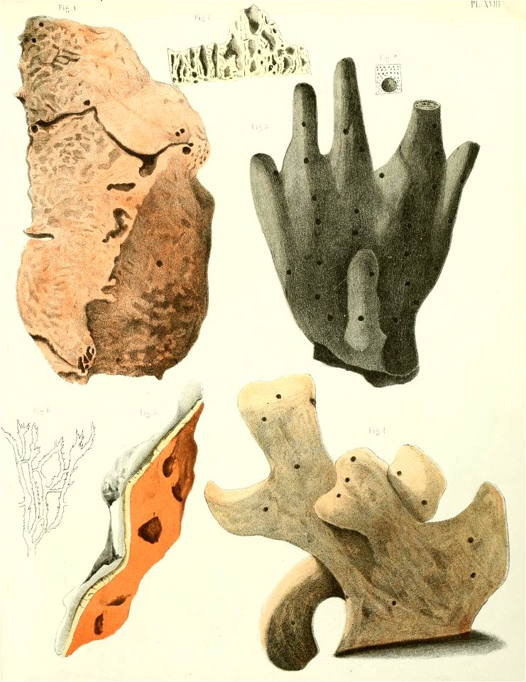 n164_w1150