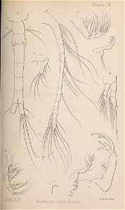 n218_w1150