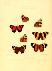 n199_w1150