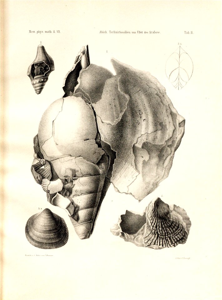 n48_w1150