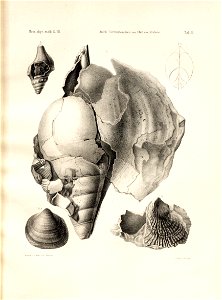 n48_w1150