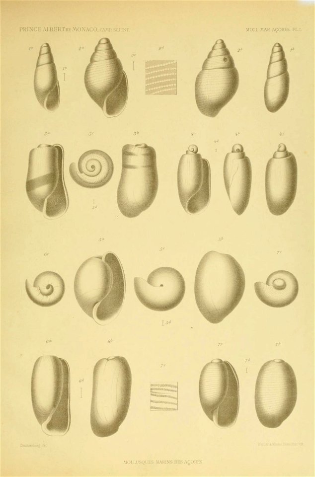 n120_w1150