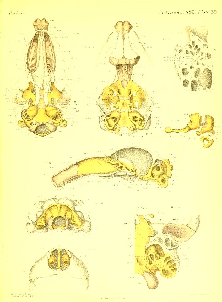 n592_w1150