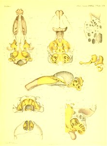 n592_w1150