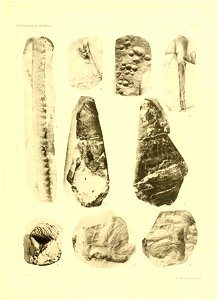 n42_w1150