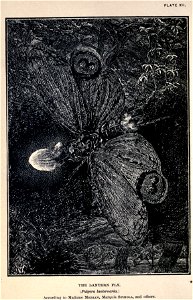 n113_w1150
