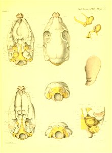 n580_w1150