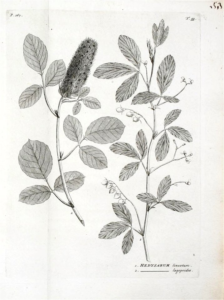 n362_w1150