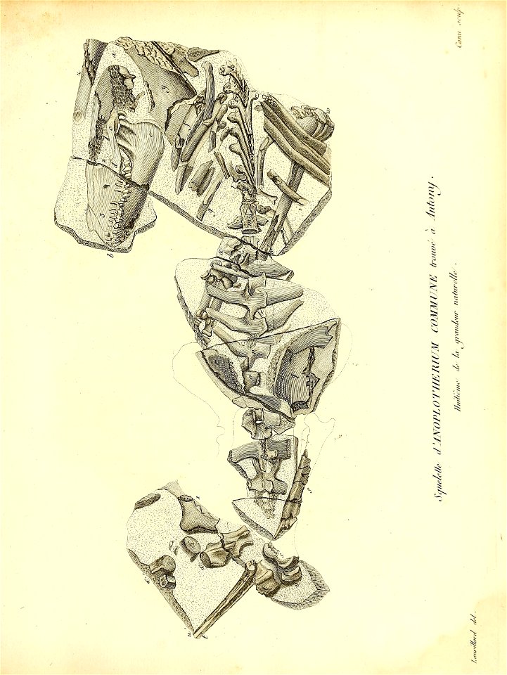 n292_w1150