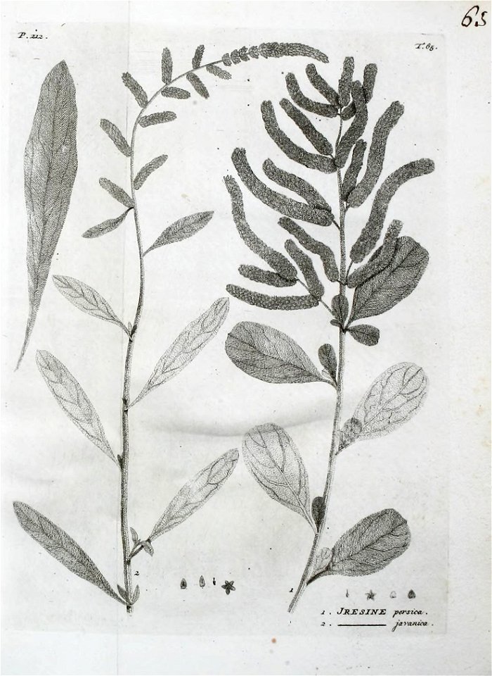 n450_w1150