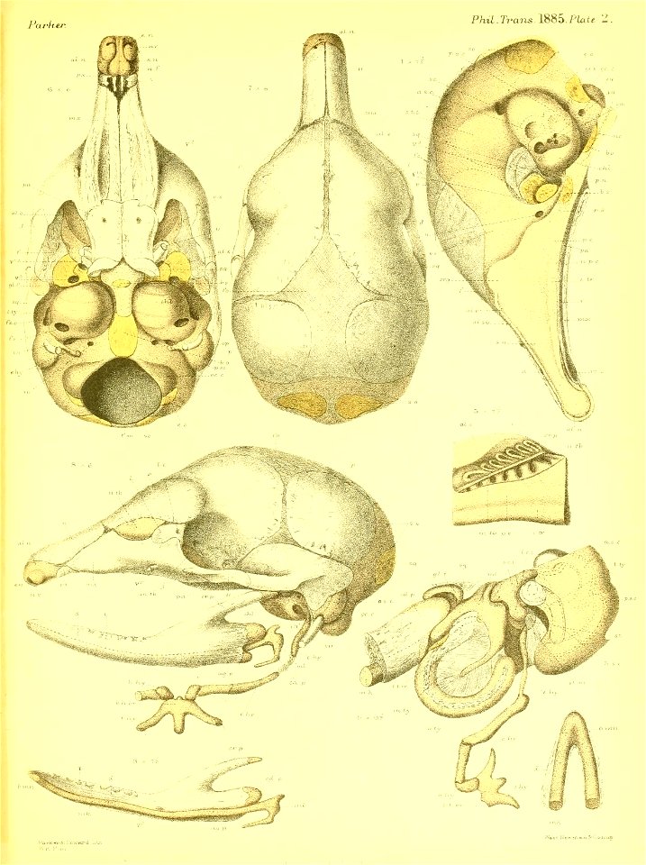 n370_w1150