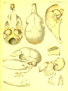 n370_w1150