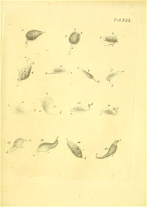n496_w1150