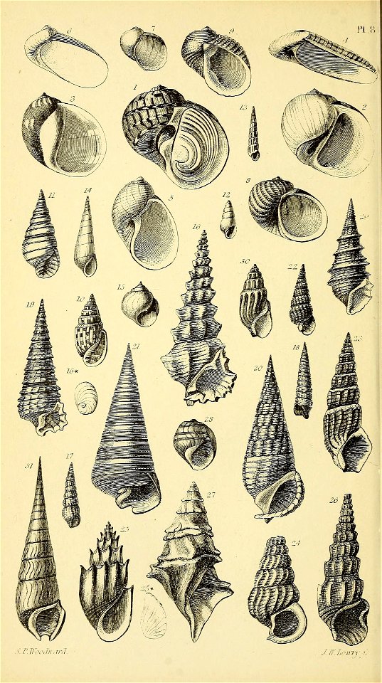 n563_w1150