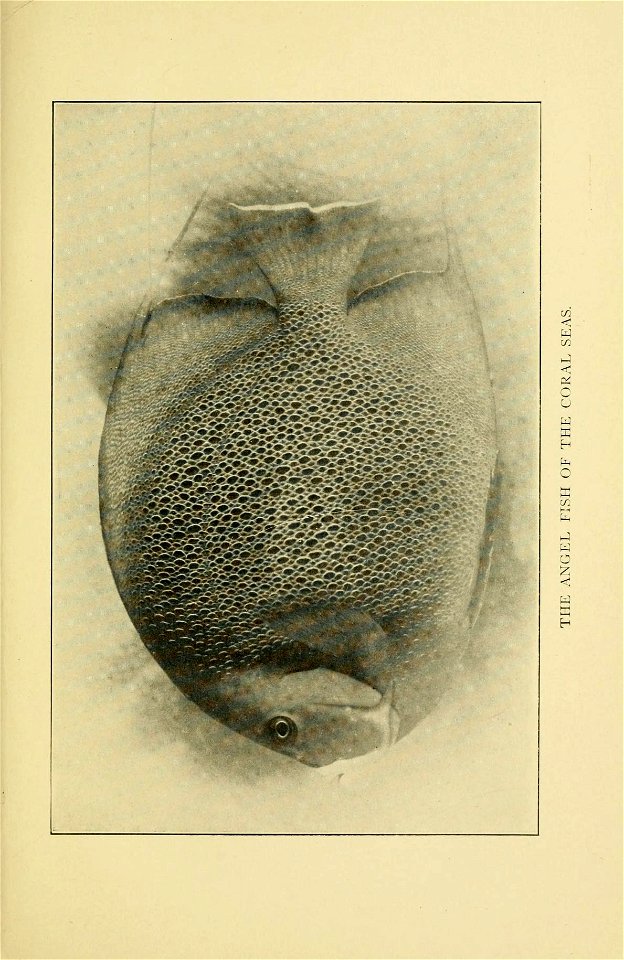n86_w1150