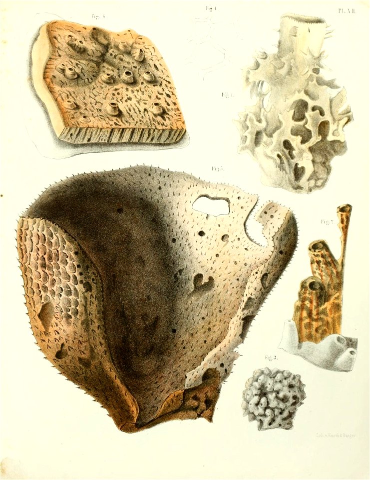n152_w1150