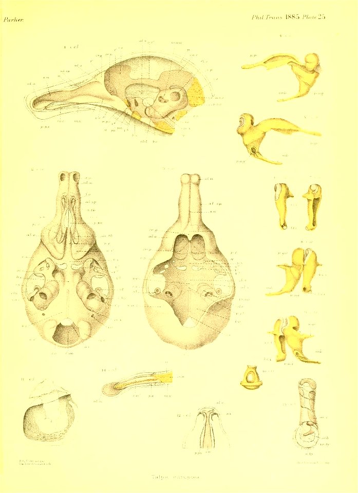 n508_w1150