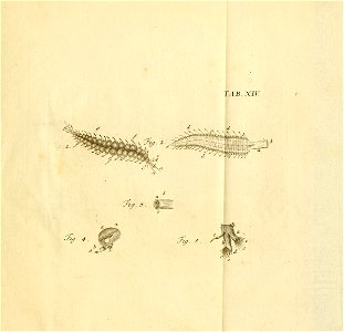 n246_w1150