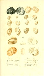 n392_w1150