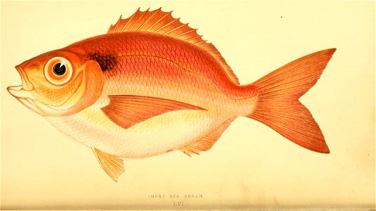 n366_w1150