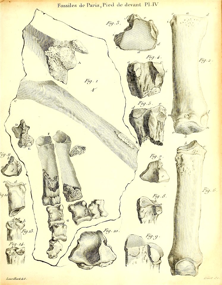 n182_w1150