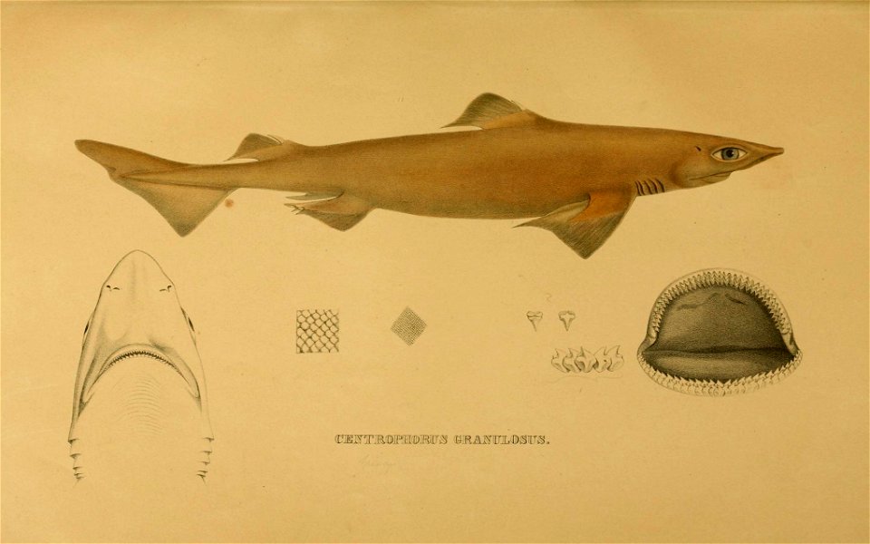 n290_w1150
