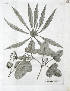 n436_w1150