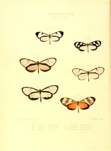 n57_w1150