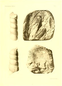 n58_w1150