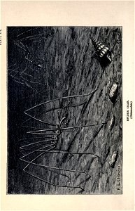 n127_w1150