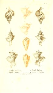 n398_w1150