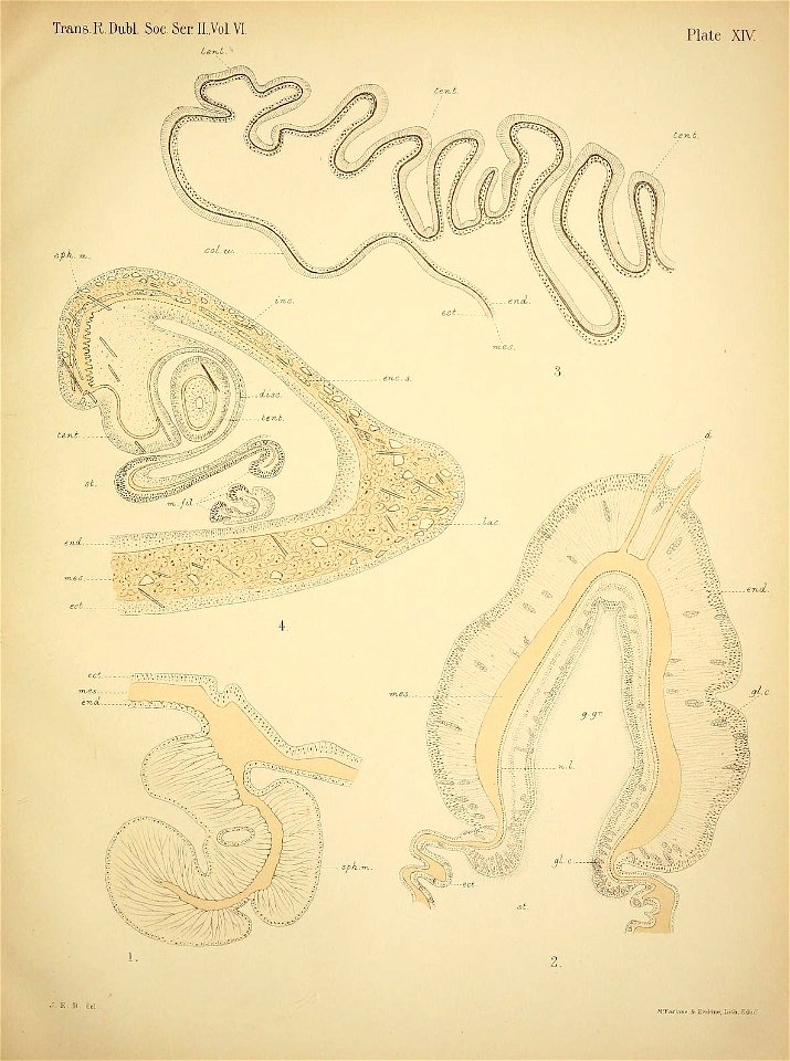 n176_w1150