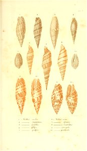 n394_w1150