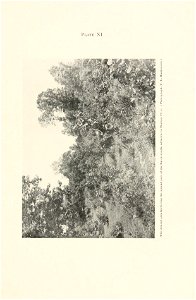 n282_w1150