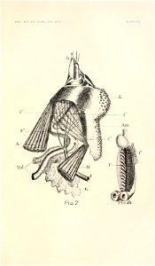 n206_w1150