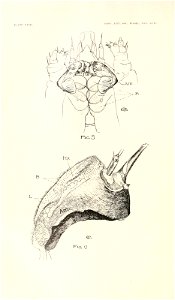 n205_w1150