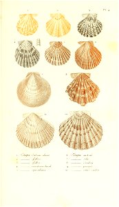 n388_w1150