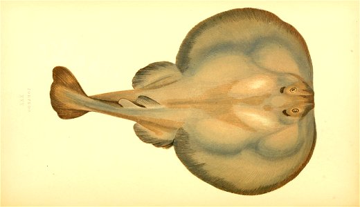 n192_w1150