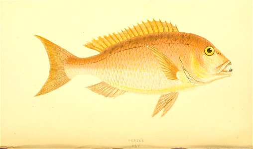 n306_w1150