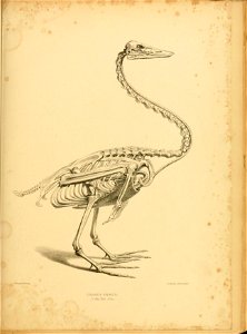 n44_w1150